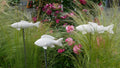 Deko Fisch, Beton Fisch, Gartendeko, Deko für den Garten, Dekoration, Fischschwarm