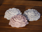 Deko Rose, Pfingstrose, Rosenset