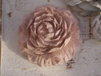 Deko Rose, Pfingstrose, Rosenset, 100025