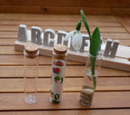 Buchstabenleiste, Betonbuchstaben, Dekoration, Fensterdekoration, Geschenk