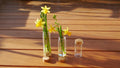 Vase,Lichtleiste, Lichthäuser, Dekoleiste, Lichtobjekt, Kerzen Dekoration