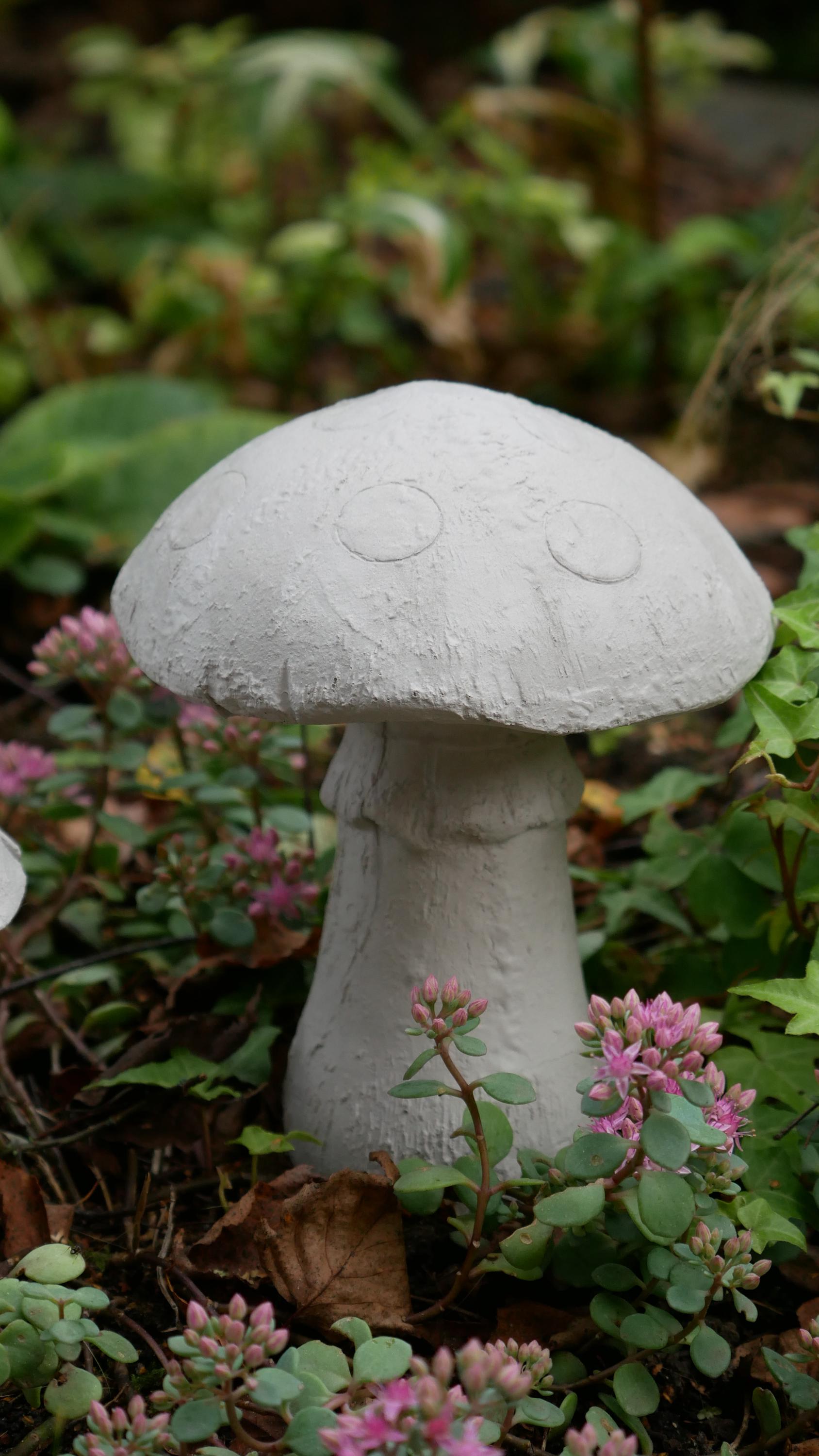 Deko Pilz, Beton Pilz, Gartendeko,Pilz für den Garten, Dekoration, Herbst, Herbstdeko, 100035