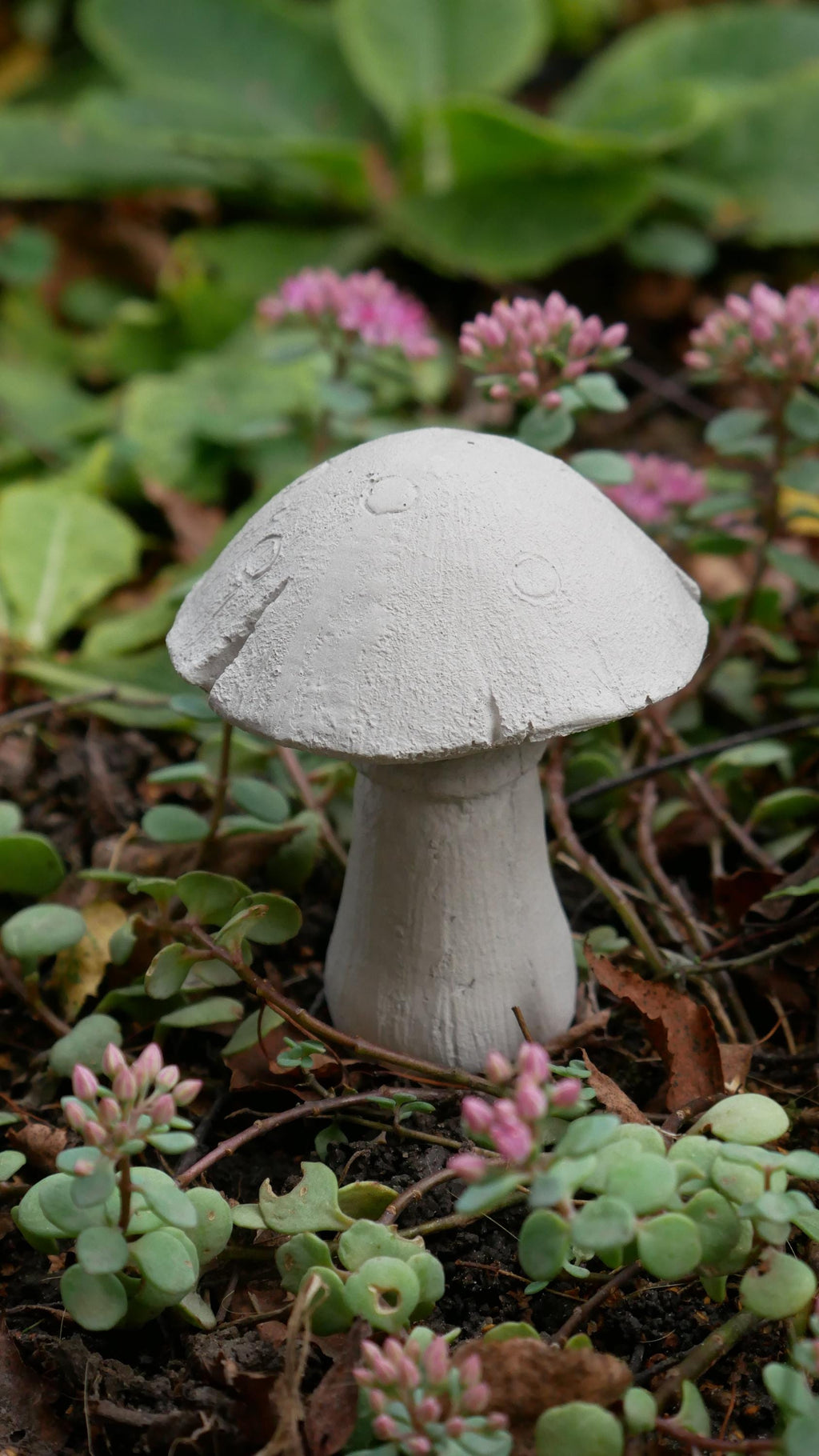 Deko Pilz, Beton Pilz, Gartendeko,Pilz für den Garten, Dekoration, Herbst, Herbstdeko, 100035