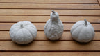 Deko Kürbis, Herbstdekoration, Kürbis Beton, Kürbis Set, Geschenk