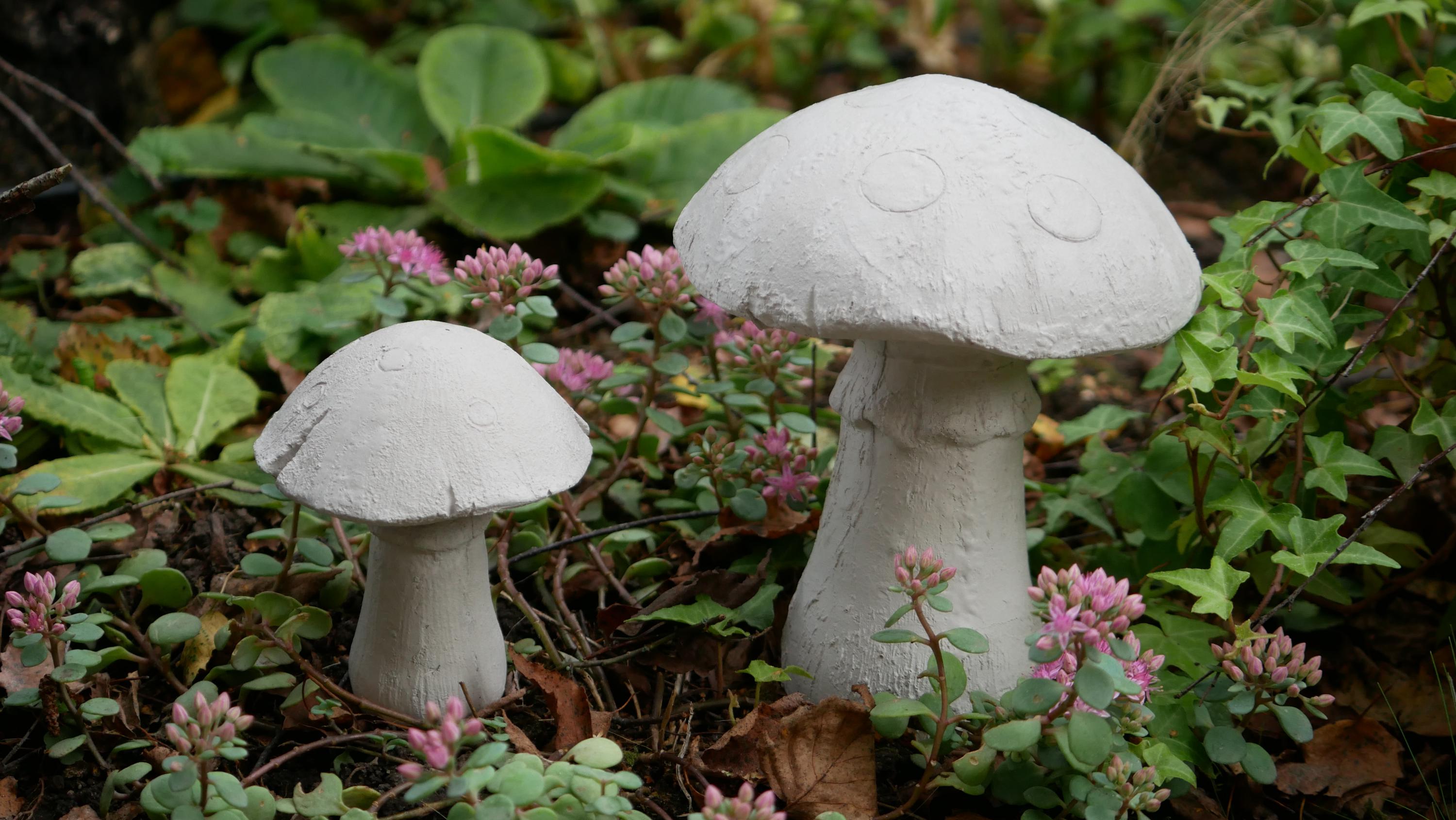 Deko Pilz, Beton Pilz, Gartendeko,Pilz für den Garten, Dekoration, Herbst, Herbstdeko, 100035