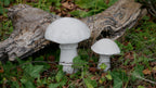 Deko Pilz, Beton Pilz, Gartendeko,Pilz für den Garten, Dekoration, Herbst, Herbstdeko, 100035