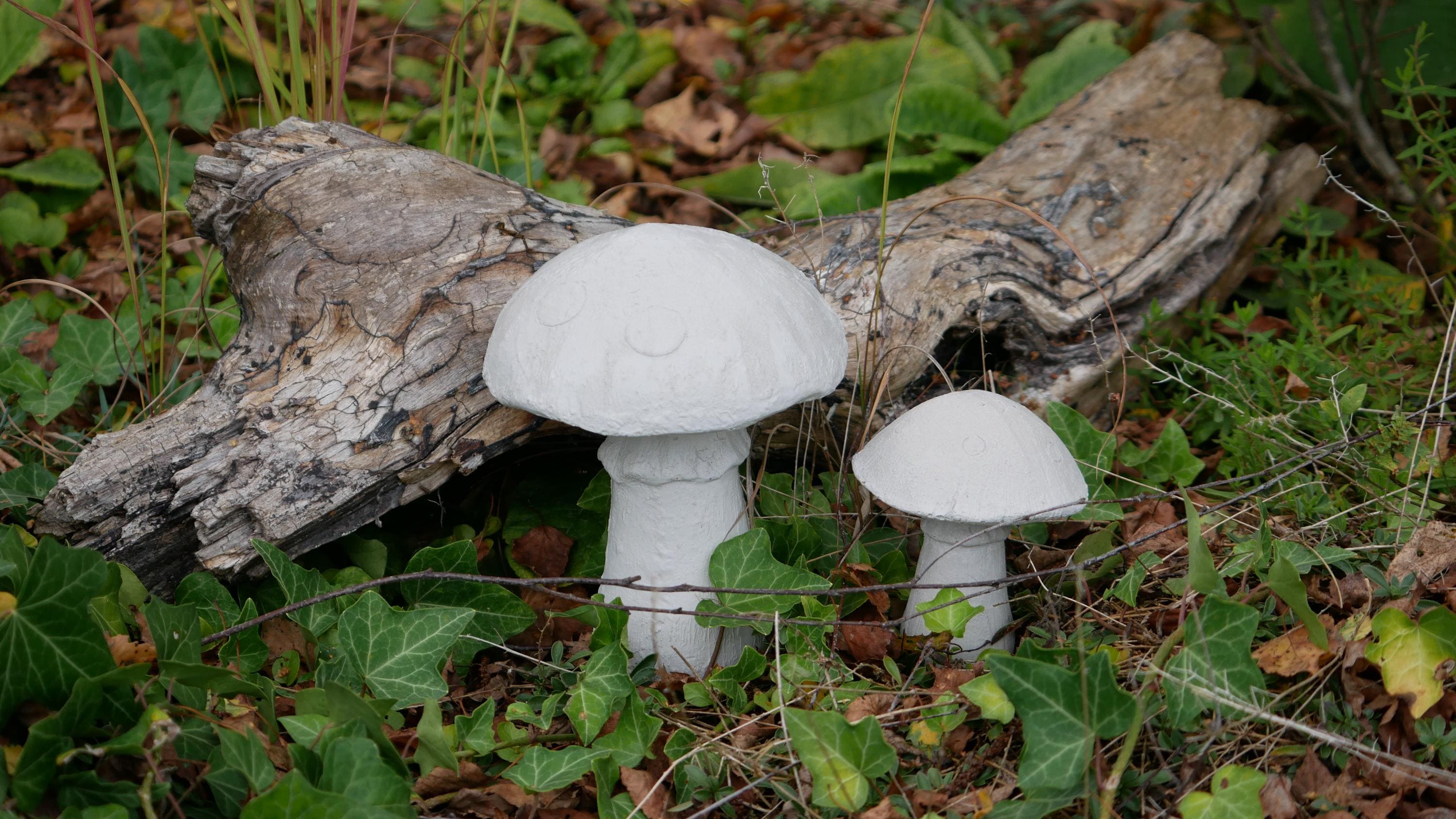 Deko Pilz, Beton Pilz, Gartendeko,Pilz für den Garten, Dekoration, Herbst, Herbstdeko, 100035