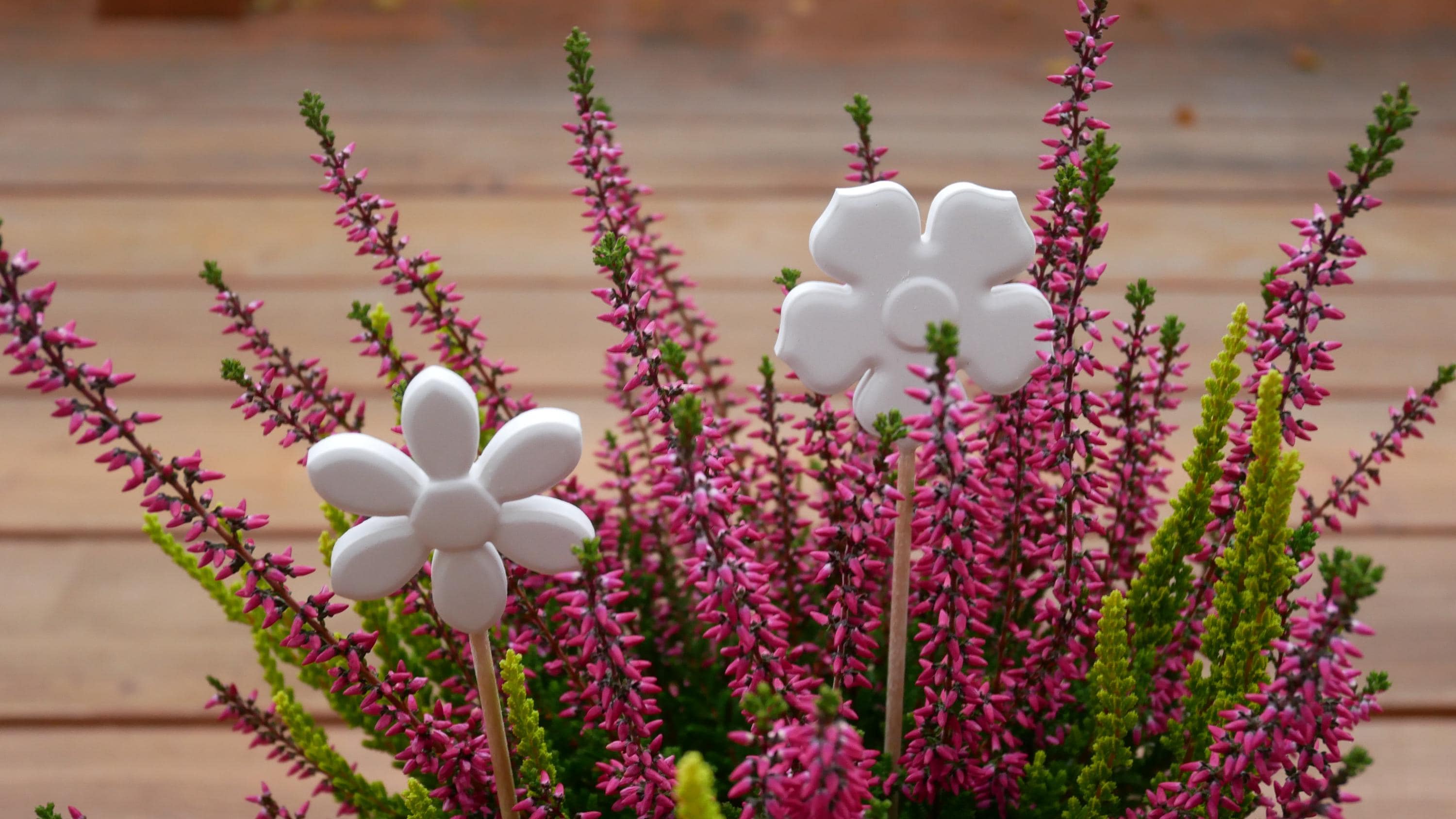Blumenstecker, kleines Geschenk, nette Botschaft, Mitbringsel, 100033