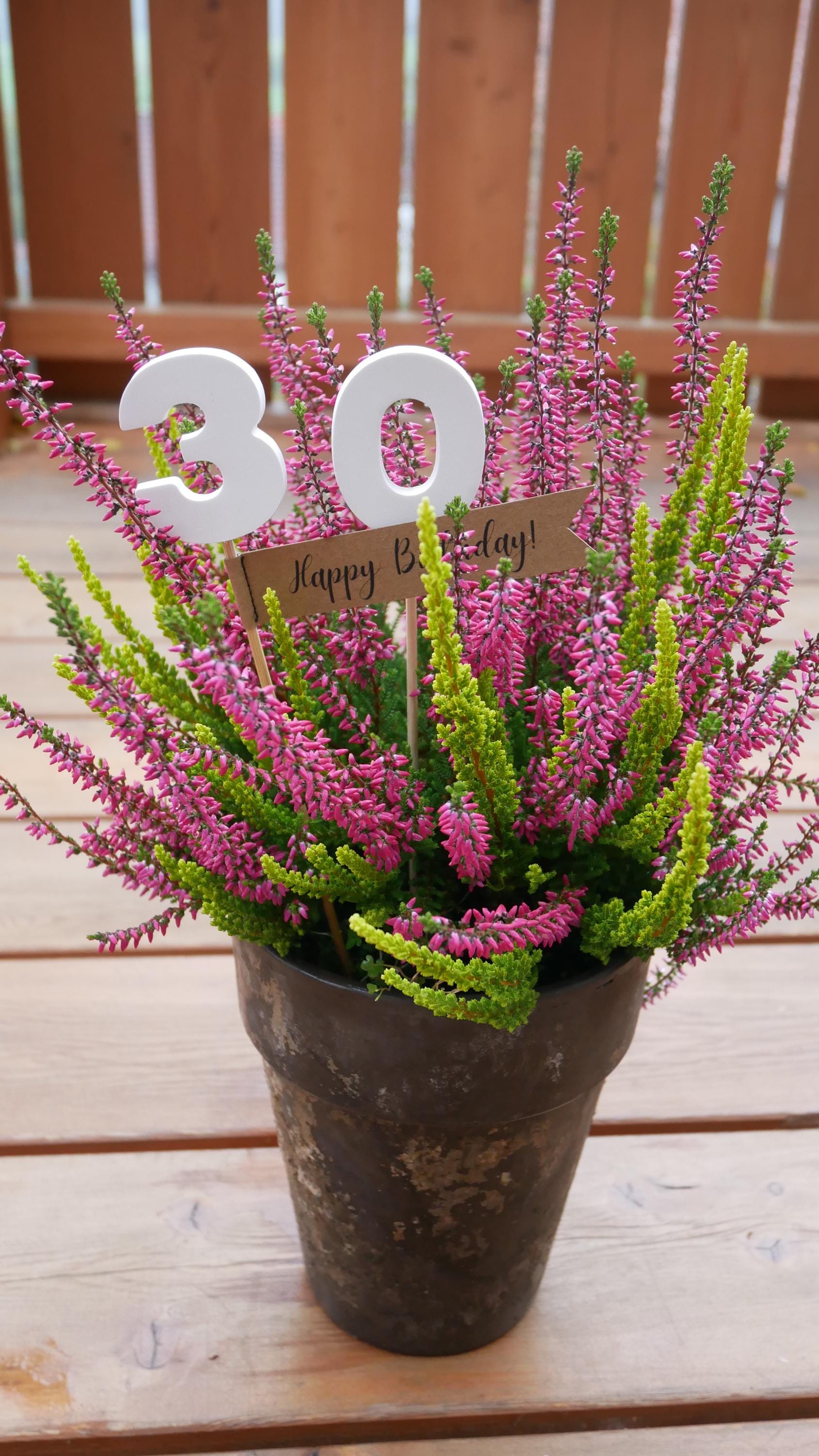 Blumenstecker, kleines Geschenk, nette Botschaft, Mitbringsel
