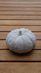 Deko Kürbis, Herbstdekoration, Kürbis Beton, Kürbis Set, Geschenk