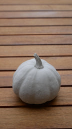 Deko Kürbis, Herbstdekoration, Kürbis Beton, Kürbis Set, Geschenk