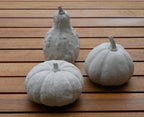 Deko Kürbis, Herbstdekoration, Kürbis Beton, Kürbis Set, Geschenk