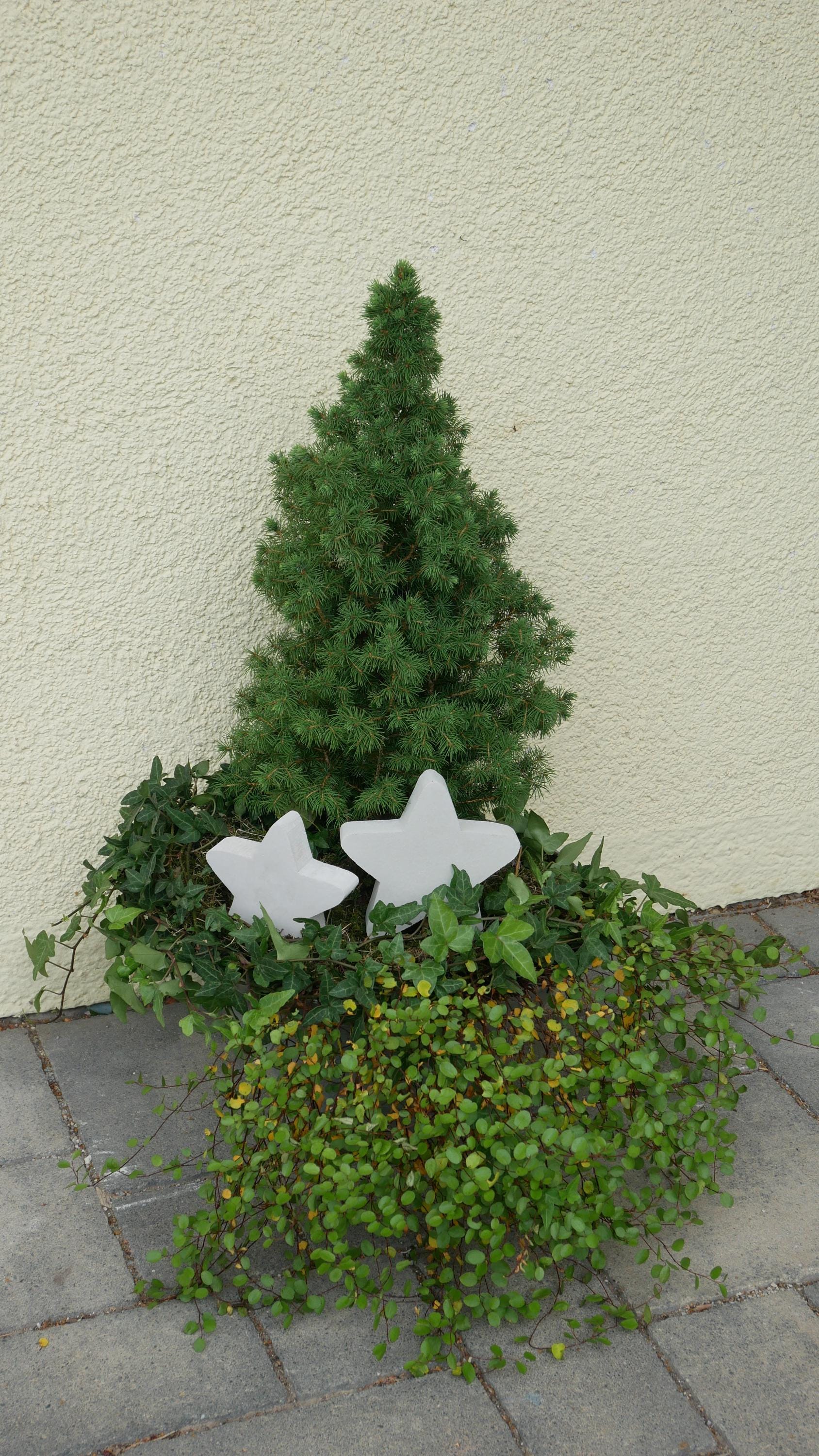 Deko Stern, Beton Stern, Gartendeko, Deko für den Garten, Dekoration, Stern, Weihnachtsdekoration, Weihnachten, Deko für die Haustüre
