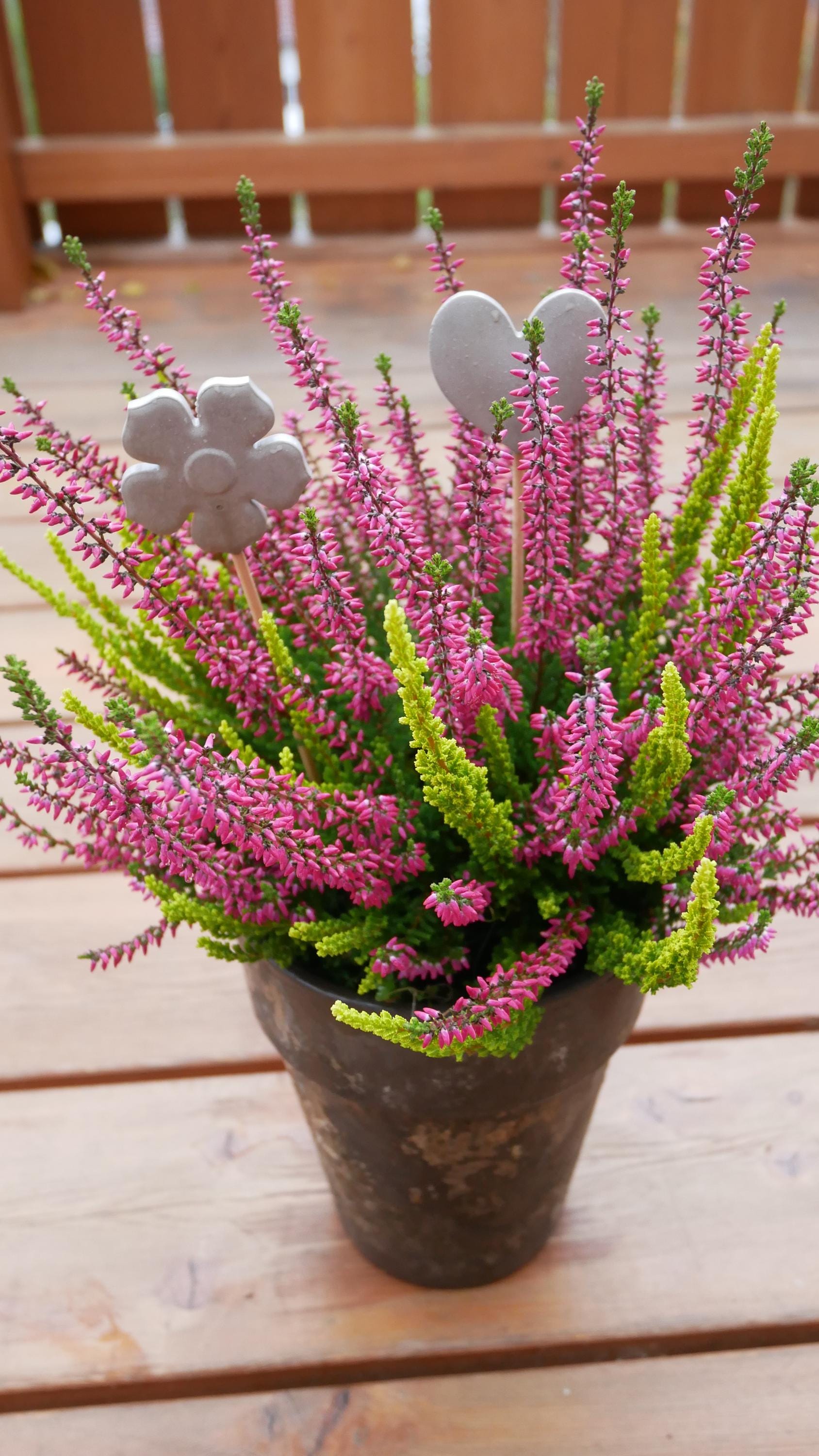 Blumenstecker, kleines Geschenk, nette Botschaft, Mitbringsel, 100033