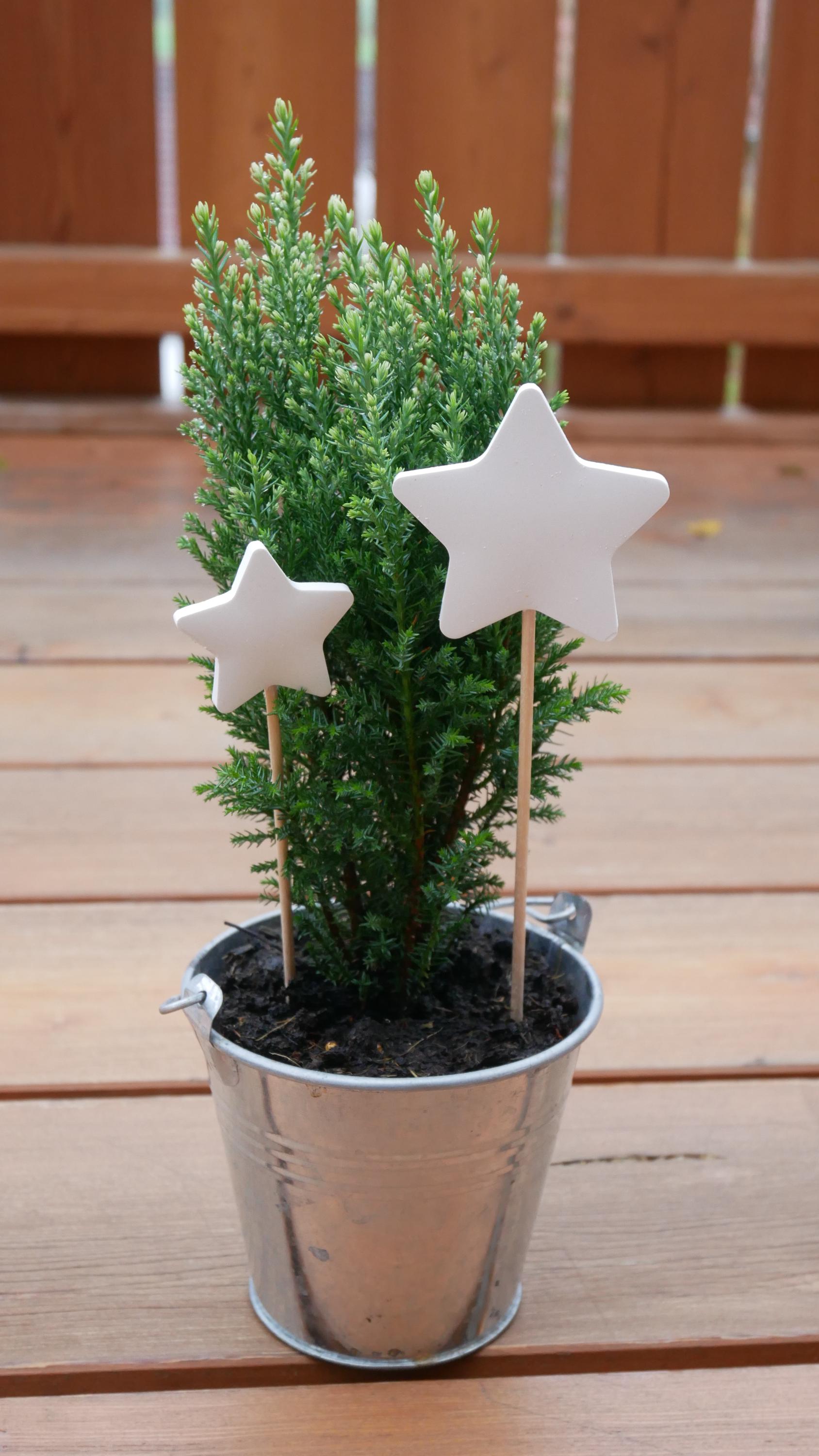 Blumenstecker, kleines Geschenk, nette Botschaft, Mitbringsel, Stern, Weihnachtsgeschenk, Weihnachtsdeko