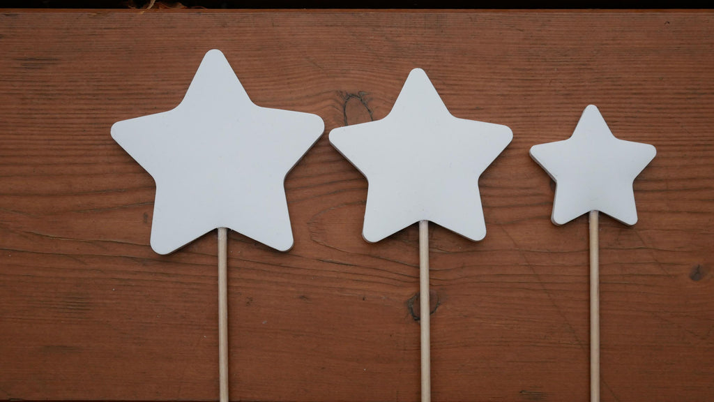 Blumenstecker, kleines Geschenk, nette Botschaft, Mitbringsel, Stern, Weihnachtsgeschenk, Weihnachtsdeko