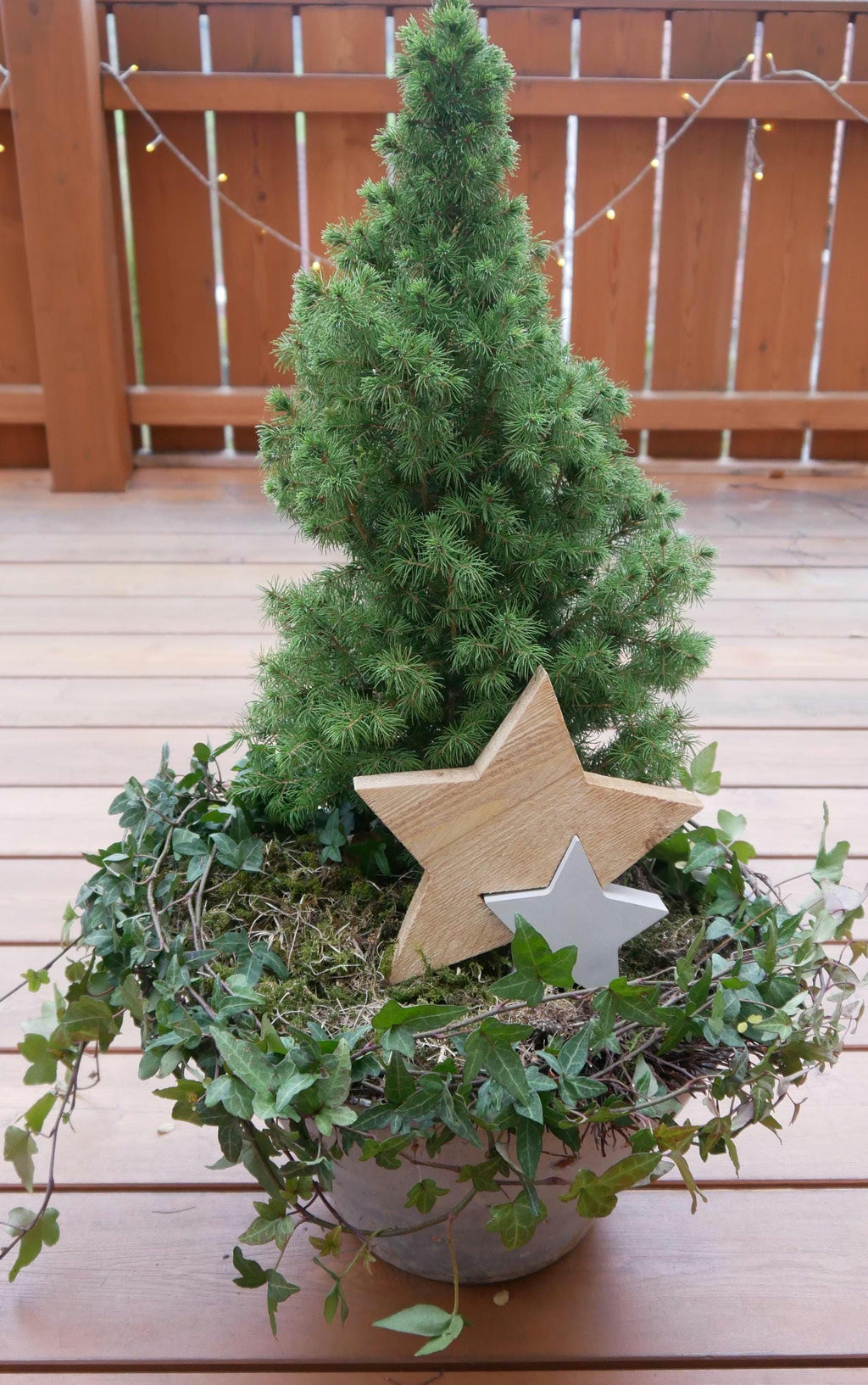 Stern, Weihnachtsstern, Betondeko, Weihnachtsdekoration, Stern aus Holz