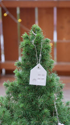Geschenkanhänger, Dekoanhänger, Tannenbaumschmuck,Schmuckanhänger, Häuschen, Minihaus, Skandi Deko, Skandinavische Deko