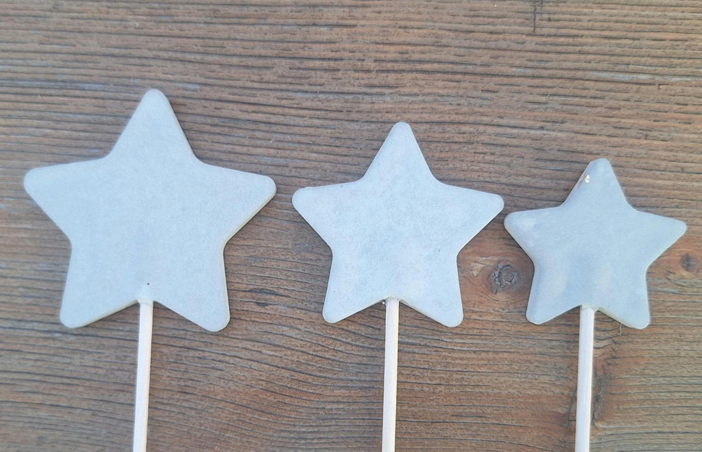 Blumenstecker, kleines Geschenk, nette Botschaft, Mitbringsel, Stern, Weihnachtsgeschenk, Weihnachtsdeko
