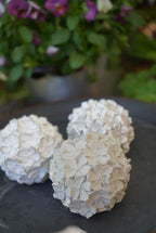 Deko Kugel, Beton Kugel, Gartendeko, Kugel für den Garten, Dekoration, Geschenk, 100011