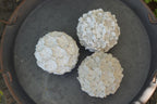 Deko Kugel, Beton Kugel, Gartendeko, Kugel für den Garten, Dekoration, Geschenk, 100011